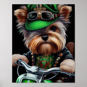 Poster Biewer Terrier Dog Dirigindo Ruas de bicicleta. Di