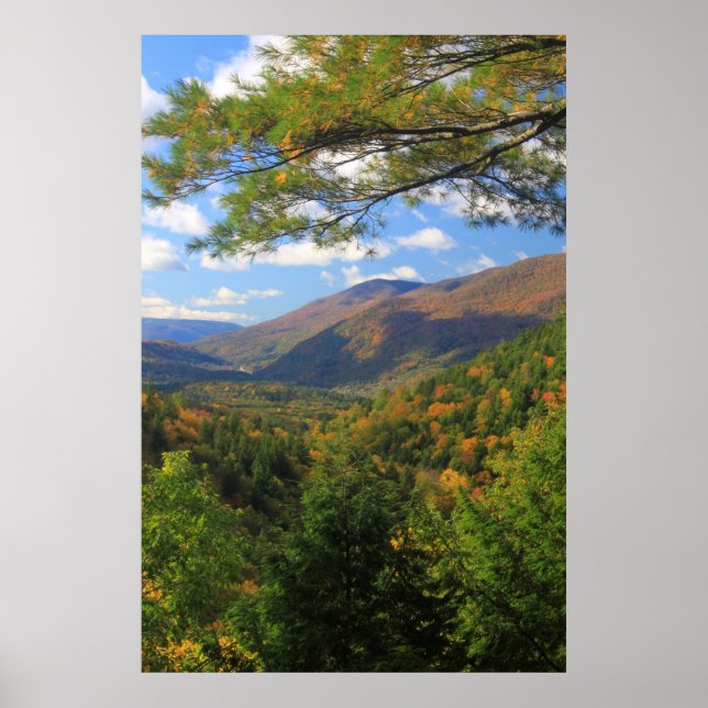 Pôster Big Branch Wilderness Vermont (Frente)