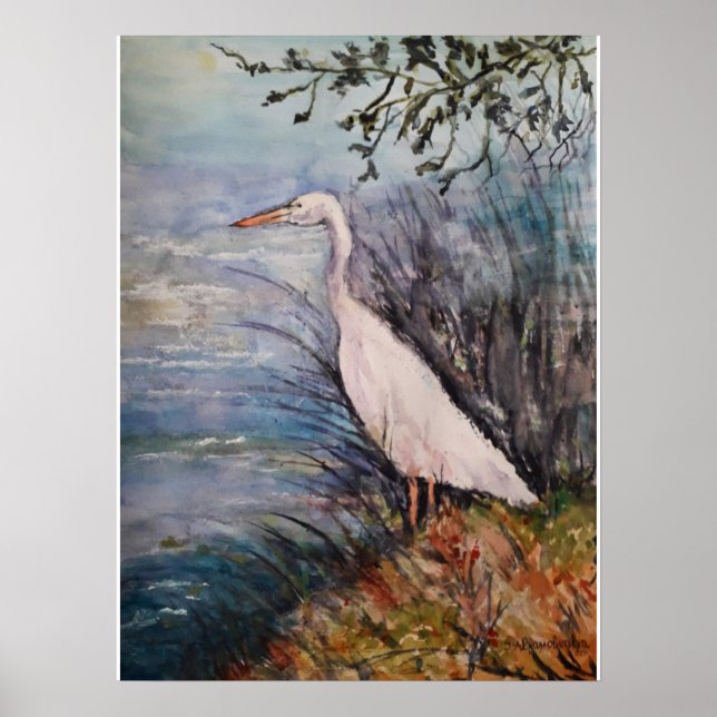 Poster Big Egret (Frente)