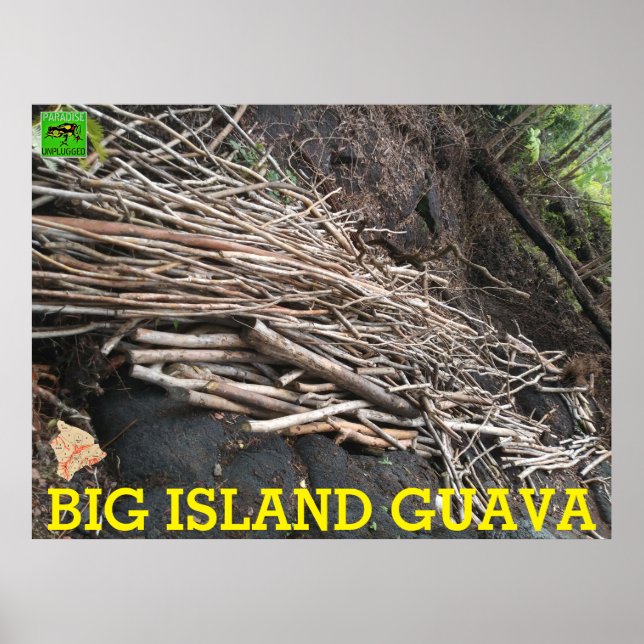 POSTER BIG ISLAND GUAVA (Frente)