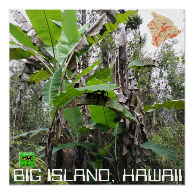 PÔSTER BIG ISLAND HAWAII (Frente)