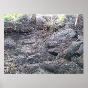 POSTER BIG ISLAND LAVA ROCK