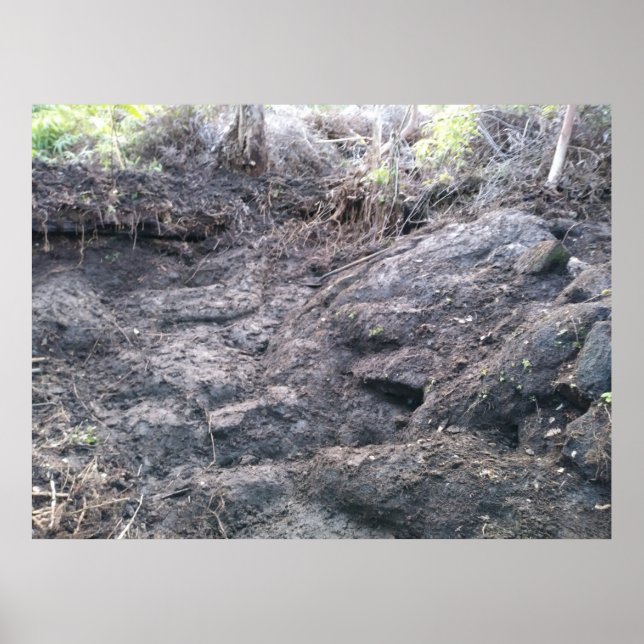 POSTER BIG ISLAND LAVA ROCK (Frente)