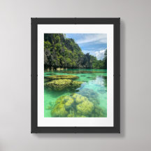 Big Lagoon Coral Reef