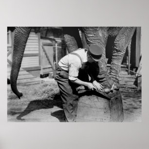 Pôster Big Pedicure, 1910