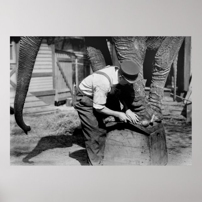 Pôster Big Pedicure, 1910 (Frente)