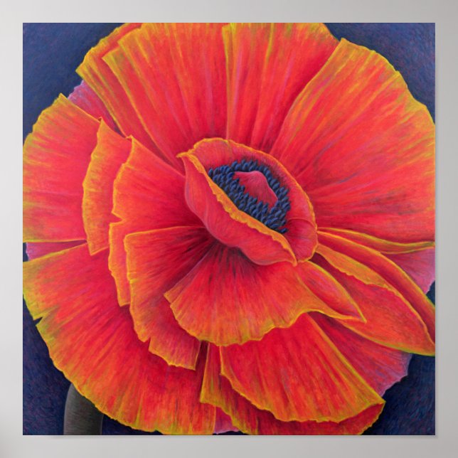 Pôster Big Poppy 2003 (Frente)