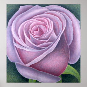 Poster Big Rose 2003