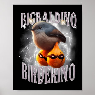 Poster Bigbaldino Birderino Funny Italiano Brainrot Memo 