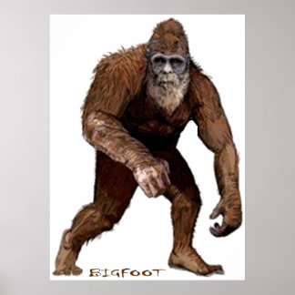 PÔSTER BIGFOOT