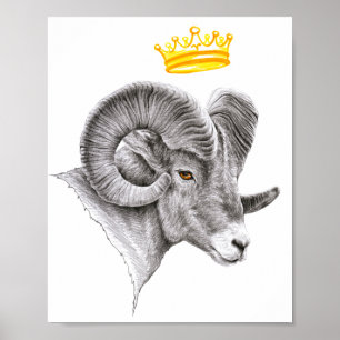 Poster Bighorn Ram com Coroa Aries Zodiac Arte Animal
