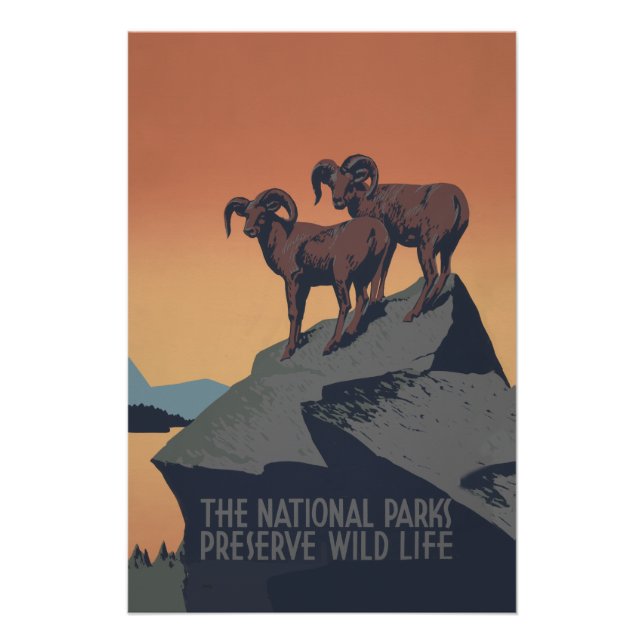 Pôster Bighorn Sheep American West Willife (Frente)
