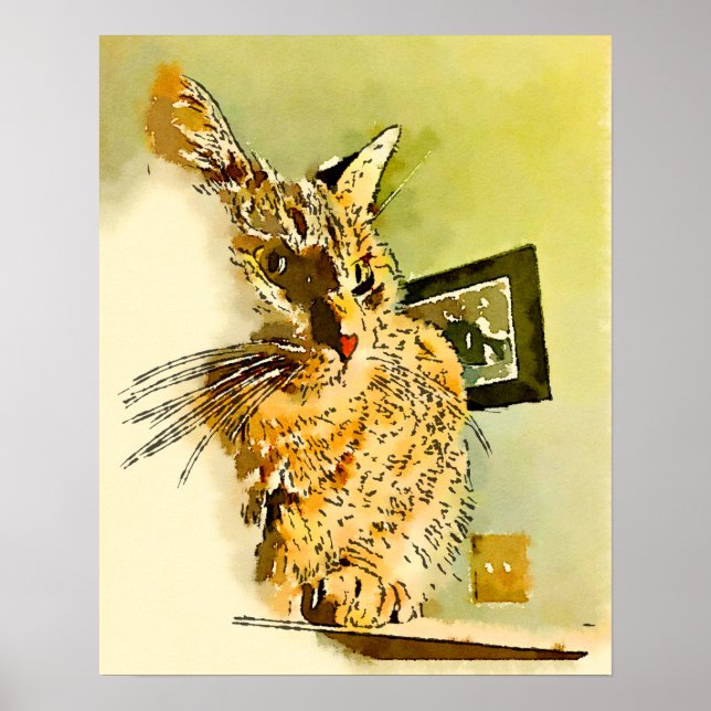 Pôster Bigodes de Gatinho Coração Nariz Aquarela (Frente)