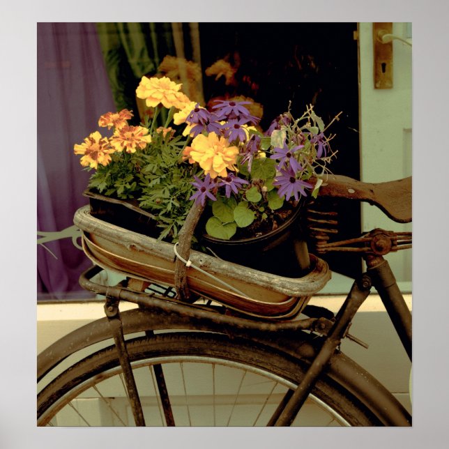 Poster Bike Antique e flores (Frente)