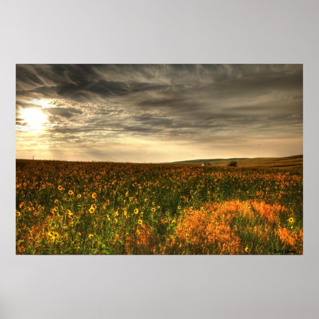 Poster Bill's Flower Field (Frente)