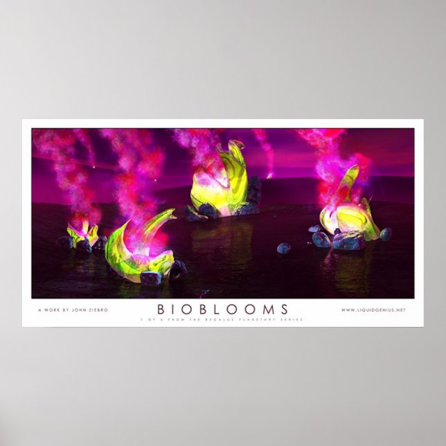 Poster Bioblooms (Frente)