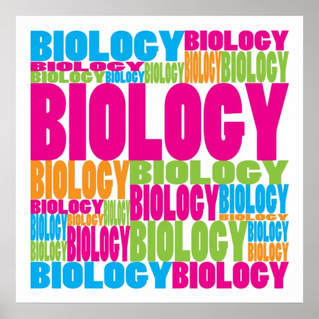 Pôster Biologia Colorida (Frente)