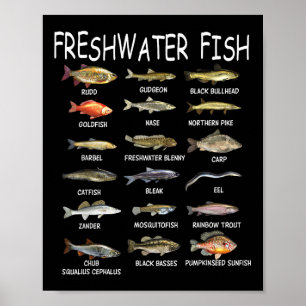 Poster Biologia das Espécies de Peixes Tipos de Peixes de