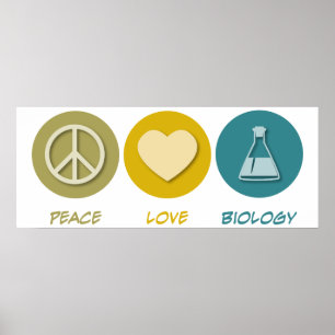 Poster Biologia do amor da paz