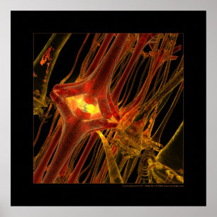 Poster Biologia: uma comunicação #1