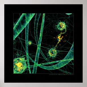 Poster Biologia: uma comunicação #2