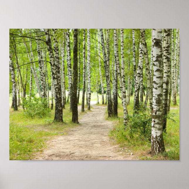 Pôster Birchwood (Frente)