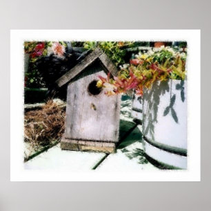 Pôster Bird House