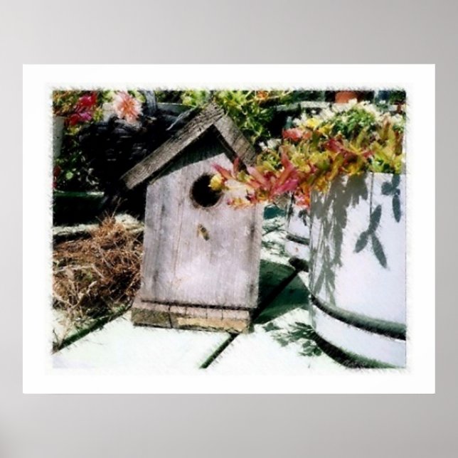 Pôster Bird House (Frente)