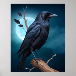 Poster Bird Nature Moonlight Corvid Crows