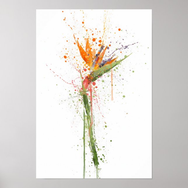 Poster Bird of Paradise (Frente)