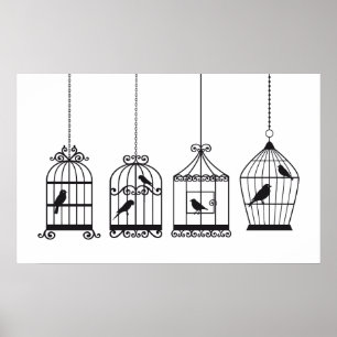 Poster Birdcages do vintage com pássaros bonitos