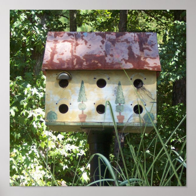 Poster Birdhouse (Frente)
