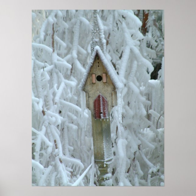 Pôster Birdhouse em árvore enrugada de gelo (Frente)