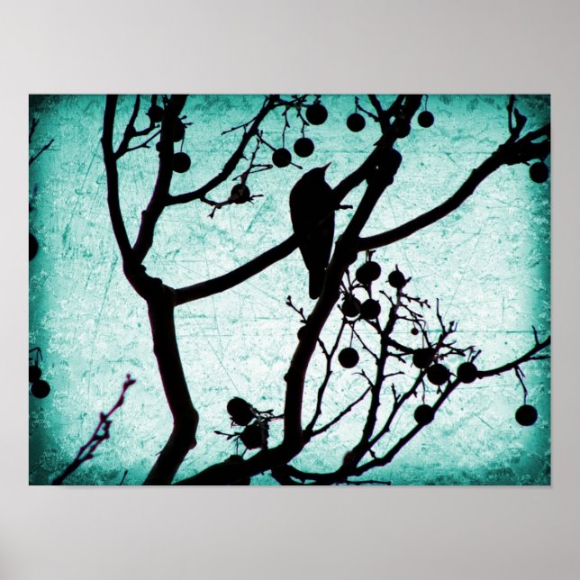 Pôster Birdie (Frente)