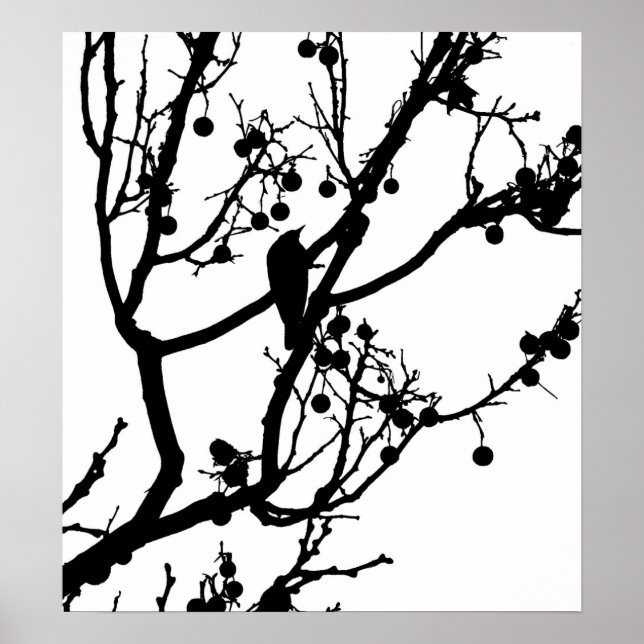 Pôster Birdie 4 (Frente)