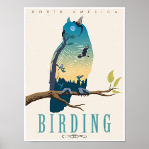 Poster Birding em America do Norte