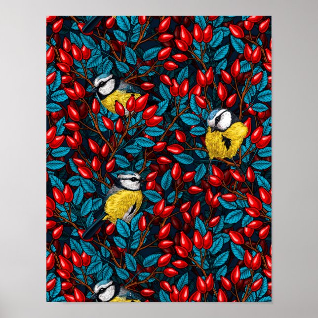 Poster Birds and dog rose hips, blue and red (Frente)