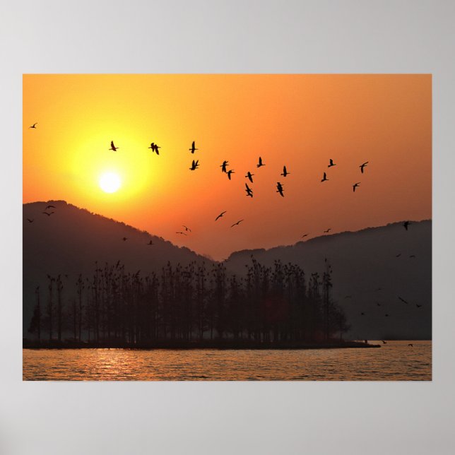 Poster Birds Flying in Sunset Sky Over East Lake (Frente)