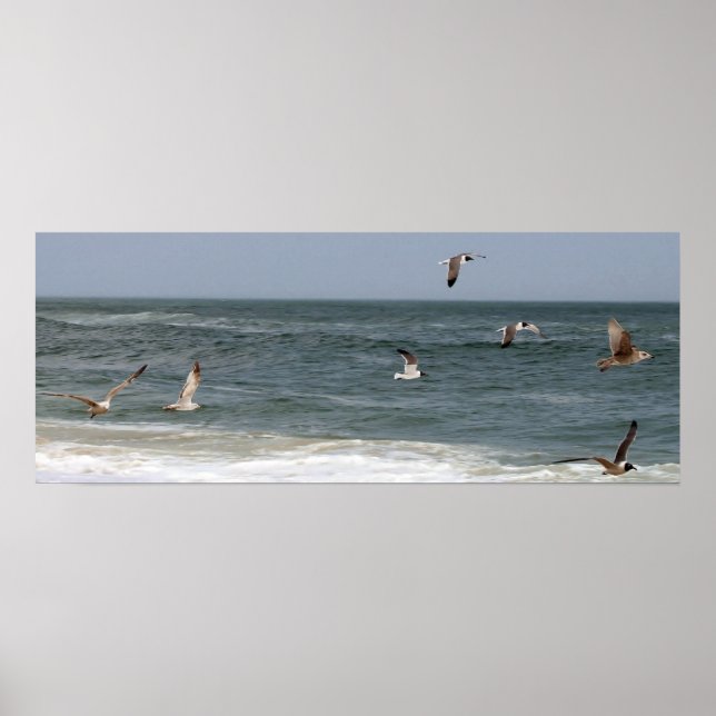 Pôster Birds In Flight by Shirley Taylor (Frente)