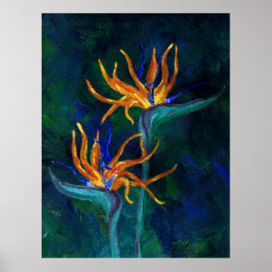 Pôster Birds of Paradise