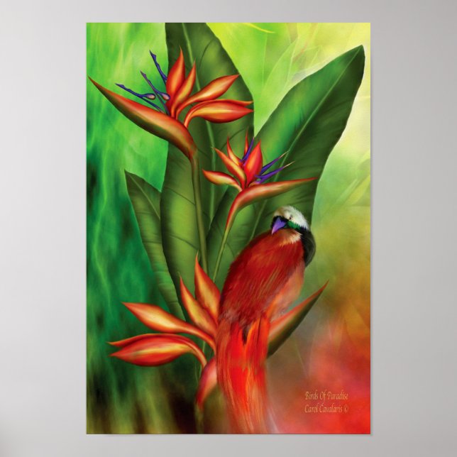 Pôster Birds Of Paradise Art Poster/Print (Frente)