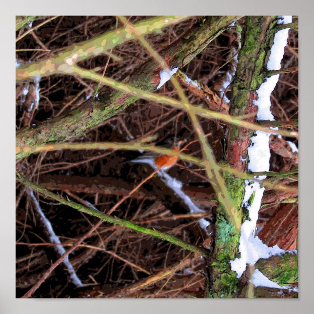 Poster Birds Shelter CB (Frente)