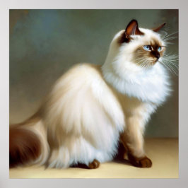 Poster Birman Cat
