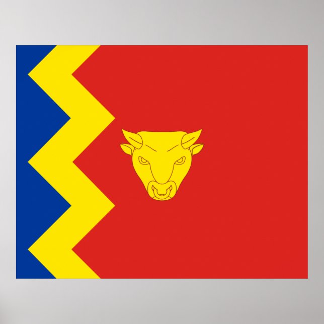 Poster Birmingham City Flag (Frente)