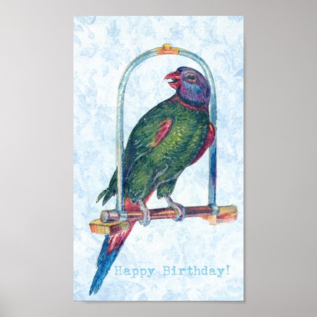 Pôster Birthday Parrot (Frente)