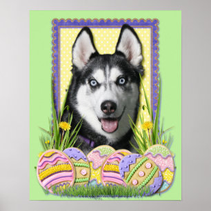 Poster Biscoitos do ovo da páscoa - rouco Siberian