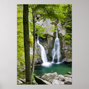 Pôster Bish Bash cai no Parque Estadual Bish Bash Falls