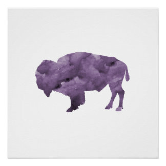 Pôster Bison