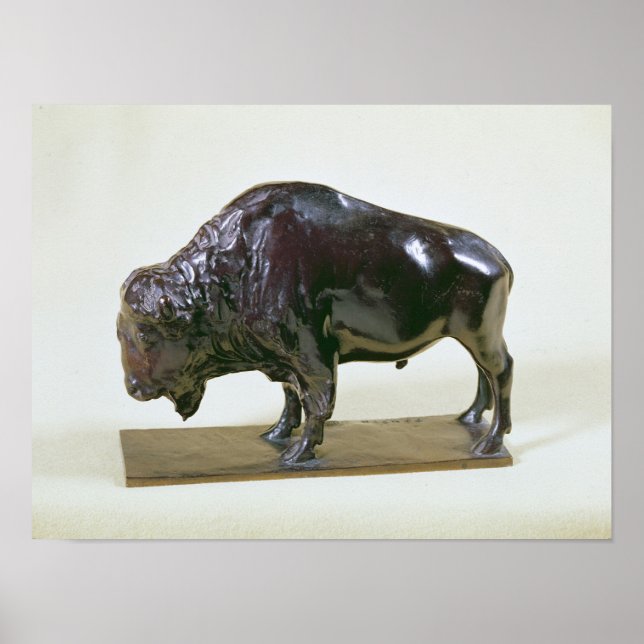 Poster Bison, 1907 (Frente)