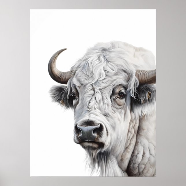 Poster Bison Bison Buffalo — Arte de Aquarela Branca (Frente)